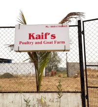 Kaifs (hen and goat farm) website banner design 11 Kaifs (hen and goat farm) website banner design 11